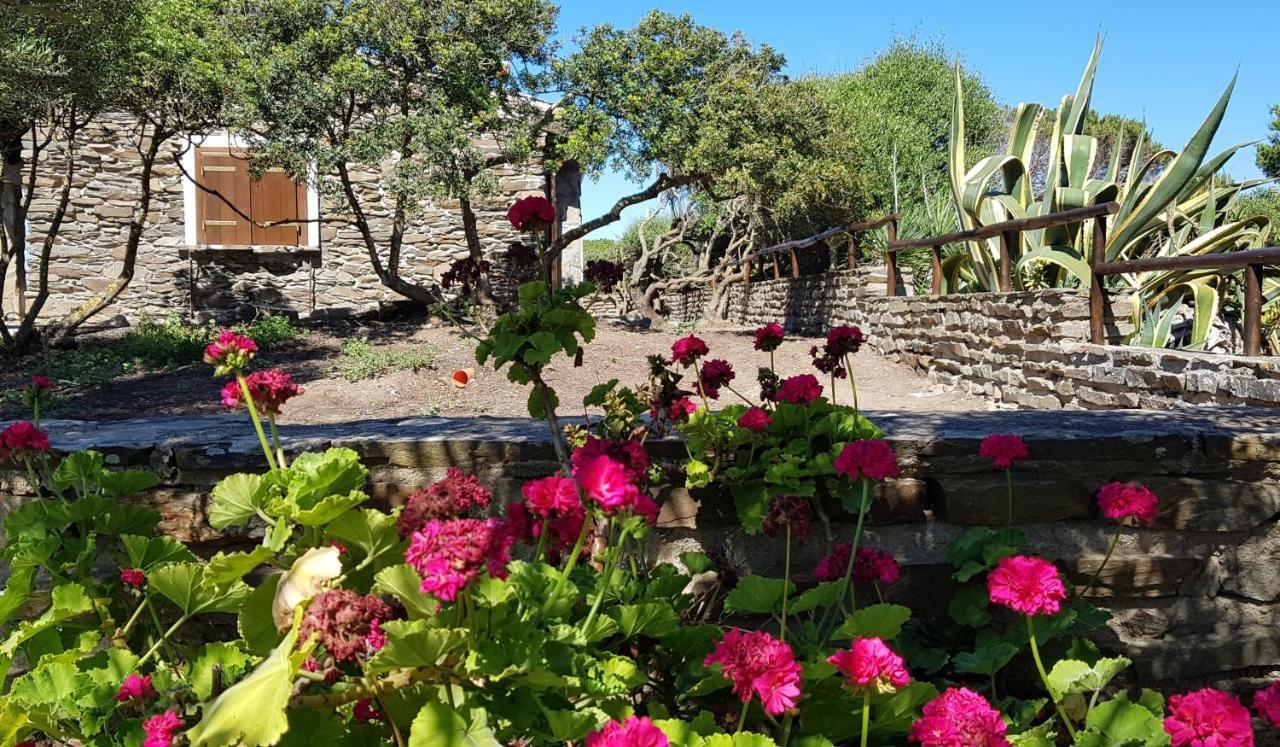 Il Sogno Di Stintino Villa Dış mekan fotoğraf