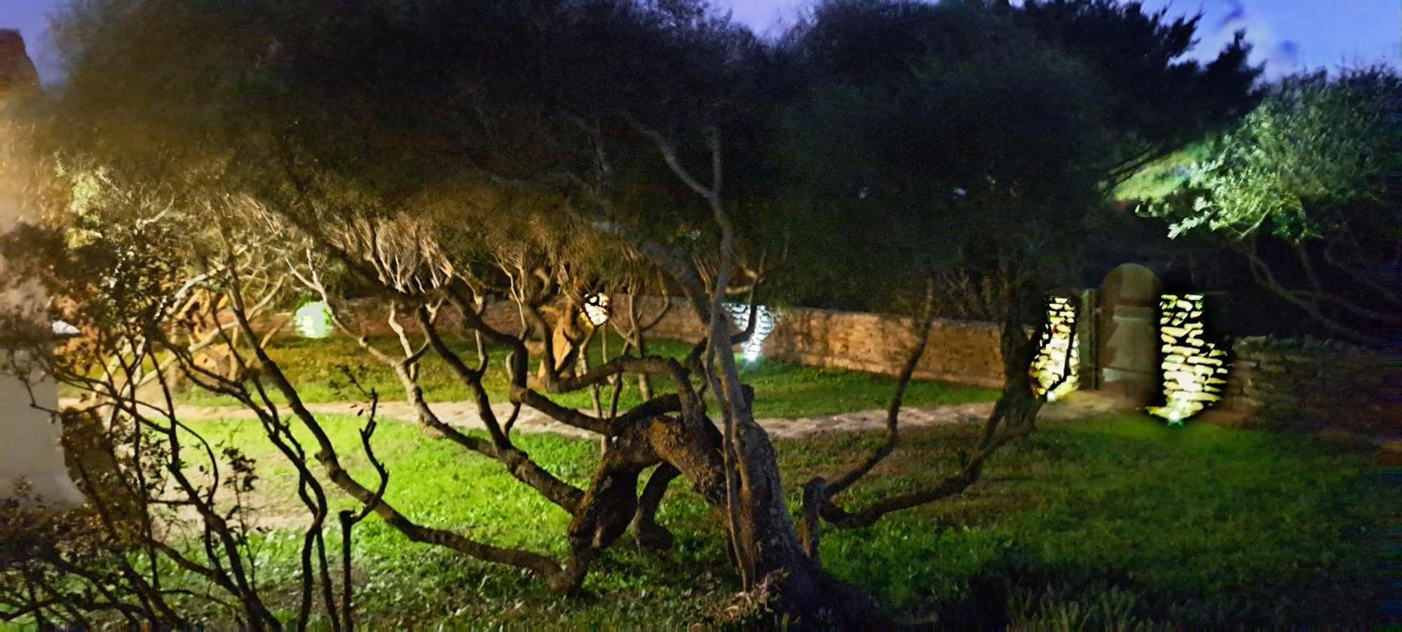 Il Sogno Di Stintino Villa Dış mekan fotoğraf